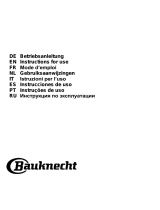 Bauknecht DBHBS 63 LL IX Guía del usuario