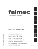 Falmec CAPPE E-ION Manual de usuario