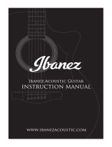 Ibanez AE El manual del propietario