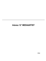 Intenso 12" MediaArtist Manual de usuario