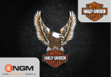 NGM Harley-Davidson El manual del propietario
