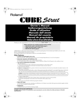 Roland CUBE STREET Manual de usuario