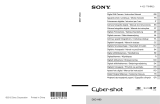 Sony Cyber Shot DSC-H90 Manual de usuario