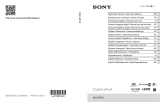 Sony DSC RX10 Manual de usuario