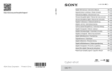 Sony Cyber-Shot DSC TF1 Manual de usuario