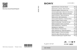 Sony VSX-422 Manual de usuario