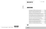 Sony Série NEX 5R Manual de usuario