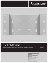 Wentronic Cabstone TV EasyFix M Guía del usuario