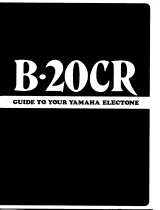 Yamaha B20CR El manual del propietario