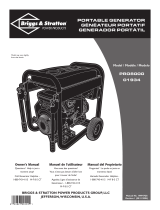 Briggs & Stratton 8000 Watt Portable Generator Manual de usuario