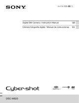 Sony Cyber Shot DSC-W620 Manual de usuario