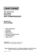 Craftsman 919.167802 Troubleshooting guide
