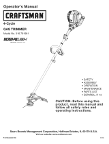 Craftsman 316.791961 Manual de usuario