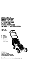 Craftsman 917.377810 El manual del propietario