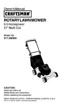 Craftsman 917.388900 El manual del propietario