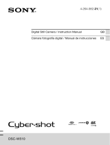 Sony Cyber Shot DSC-W510 Manual de usuario
