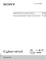 Sony DSCRX100/B Manual de usuario