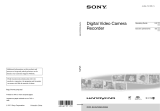 Sony DCR-SX45 Manual de usuario