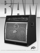 Peavey BAM 210 Bass Combo Amp Manual de usuario
