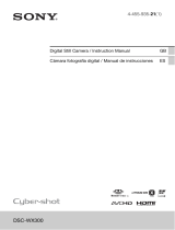 Sony DSC-WX300 Manual de usuario