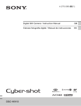 Sony Cyber-shot DSCWX10B Manual de usuario