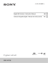 Sony Cyber Shot DSC-W730 Manual de usuario