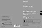 Sony Cyber Shot DSC-W100 Manual de usuario