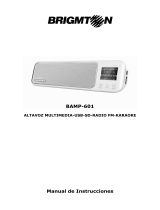 Brigmton BAMP-601 El manual del propietario