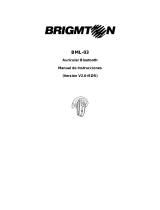 Brigmton BML-03 El manual del propietario