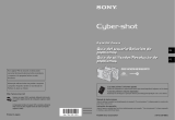 Sony Cyber Shot DSC-W30 Manual de usuario