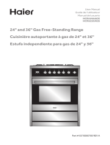 Haier HCR6250AGS El manual del propietario