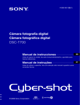 Sony Cyber Shot DSC-T700 Manual de usuario