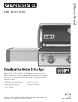 Weber 61022001 Manual de usuario