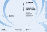 Yamaha TSX-B15 BLUE Manual de usuario
