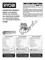 Ruobi RY38BP Manual de usuario