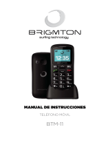 Brigmton BTM-11 El manual del propietario