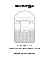 Brigmton BAMP-602-A El manual del propietario