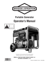 Briggs & Stratton 206494GS Manual de usuario