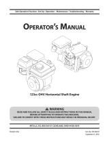 MTD 161-JWA-12 El manual del propietario