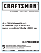 Crafstman CMXPTSG1003NB El manual del propietario