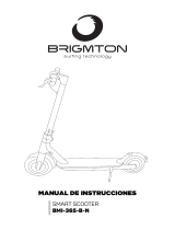 Brigmton BMi-365-B El manual del propietario
