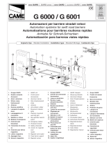 CAME G6000 El manual del propietario