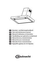 Bauknecht DBR 5890/01INPT Guía del usuario