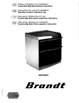 Groupe Brandt EMIC800X El manual del propietario