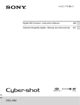 Sony Cyber-shot DSC-H90 Manual de usuario