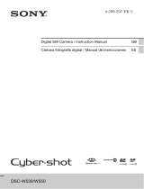 Sony Cyber Shot DSC-W530 Manual de usuario