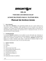 Brigmton BML-04 El manual del propietario