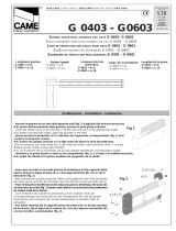 CAME G0603 El manual del propietario