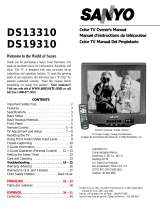 Sanyo DS19310 Manual de usuario