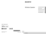 Sony GTK-PG10 El manual del propietario